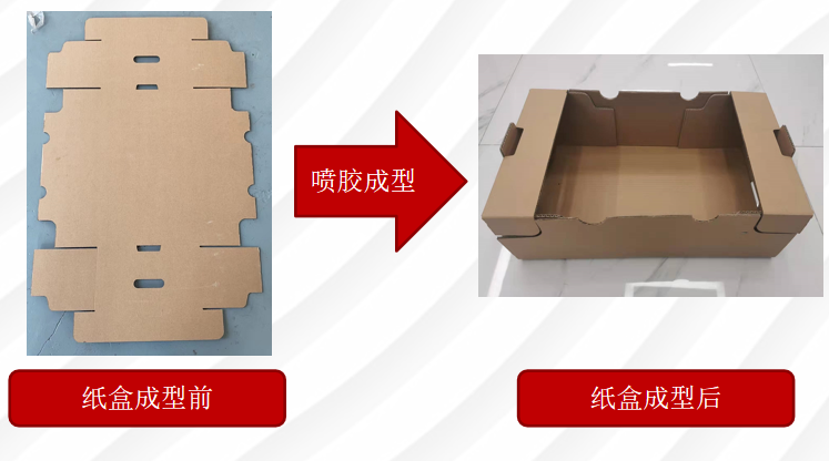 龙8头号玩家(国际)官方网站